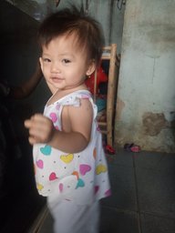 main cỏ nokia