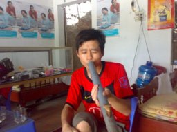 truong dinh