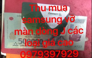 Dong nam dinh