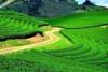 HuyenNan