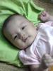 lân_baby