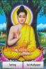 khoitg