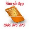 sim845