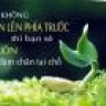 duyphuc_mobile