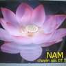 NamASangTao