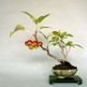 ĐT-VạnPhát1-NEEDCHANGE-1238