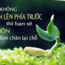 phuc3737