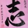 phong_vugl