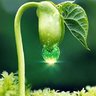 thanhphuong_gsm