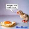 Quân_PCSuite